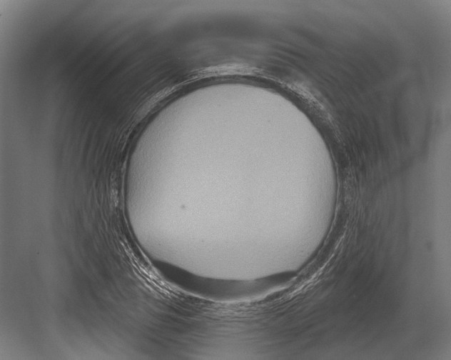 X0000082710929200702161812