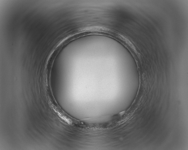 X0000082710931200702161812