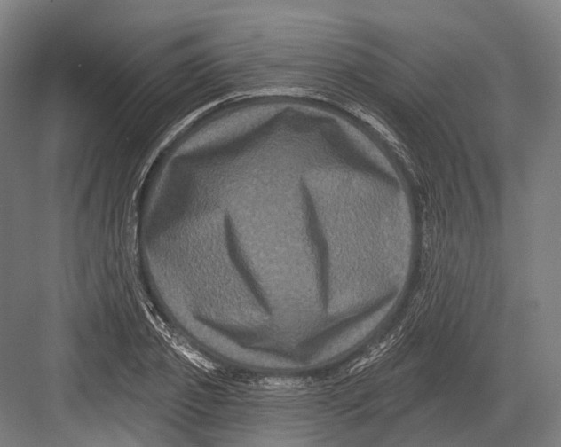 X0000082710933200702161812