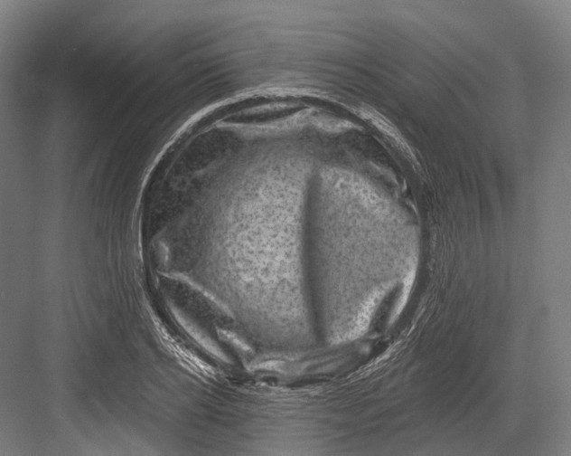 X0000082710934200702161812