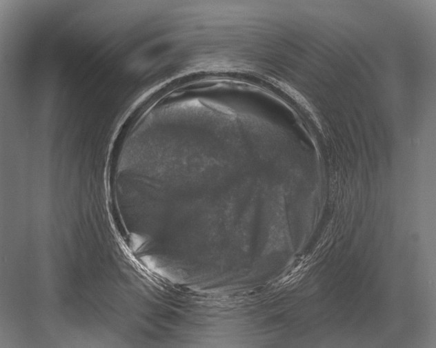 X0000082710935200702161812