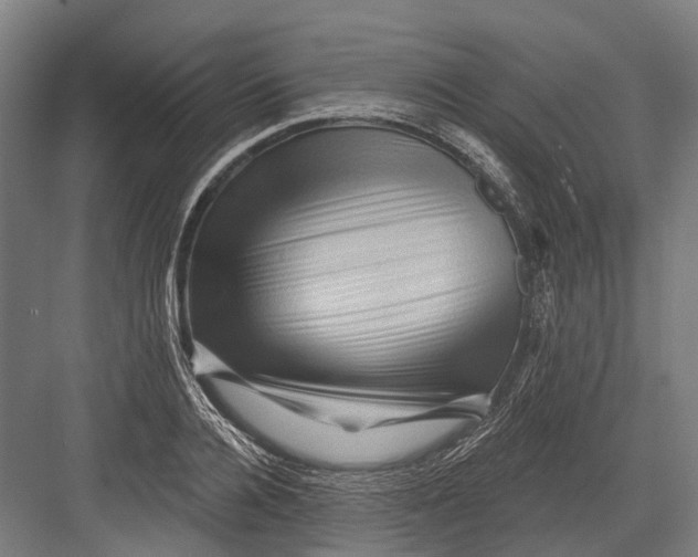 X0000082710936200702161812