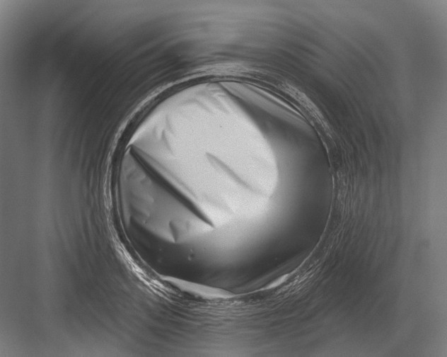 X0000082710939200702161812