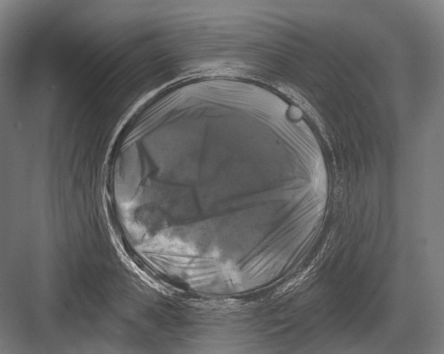 X0000082710941200702161812