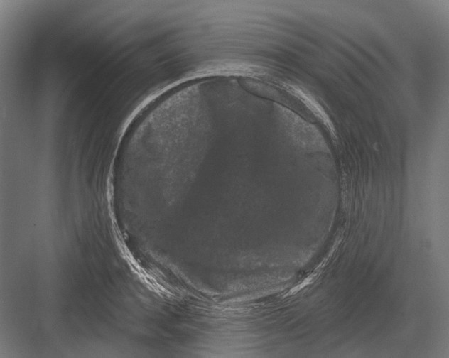 X0000082710944200702161812