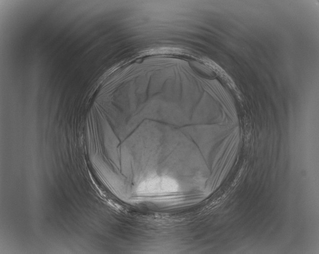 X0000082710945200702161812