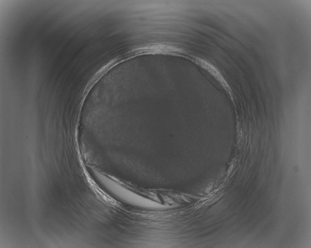 X0000082710946200702161812