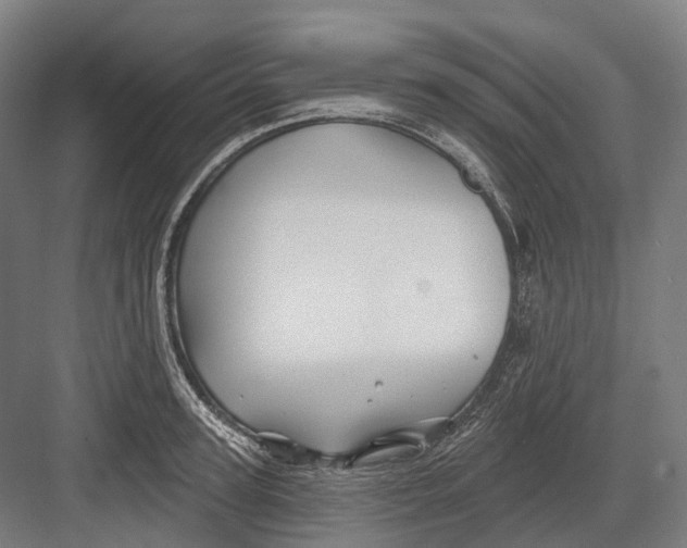 X0000082710947200702161812