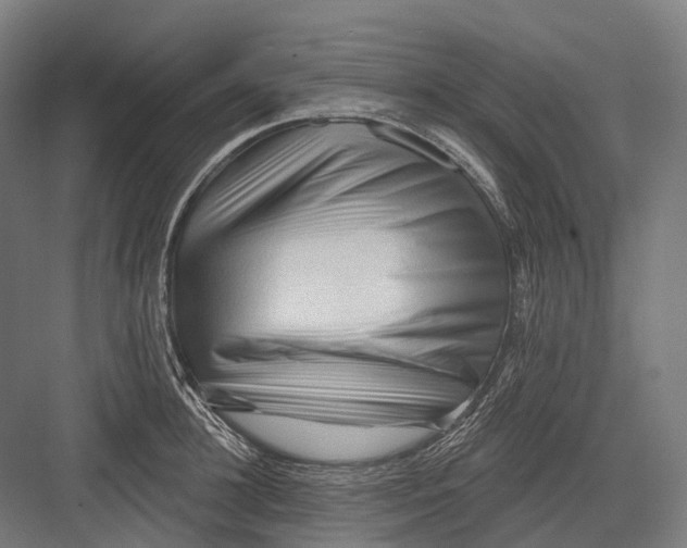 X0000082710948200702161812