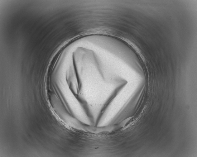 X0000082710949200702161812