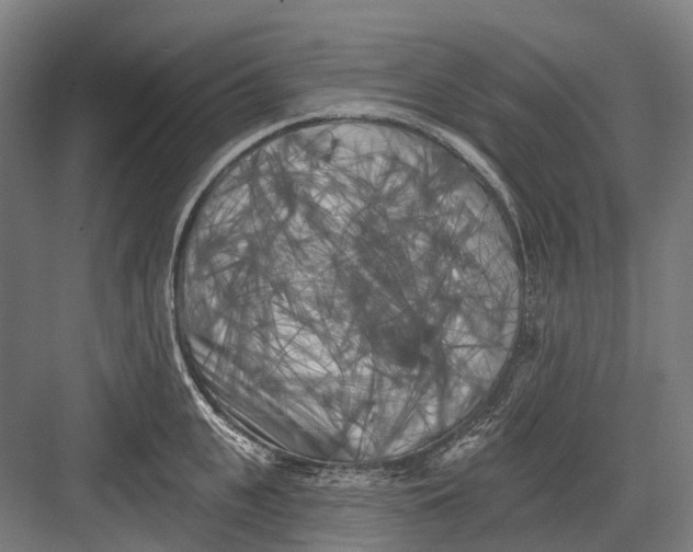 X0000082710951200702161812