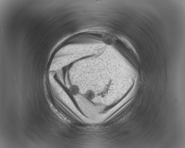 X0000082710952200702161812