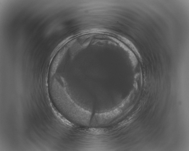 X0000082710954200702161812