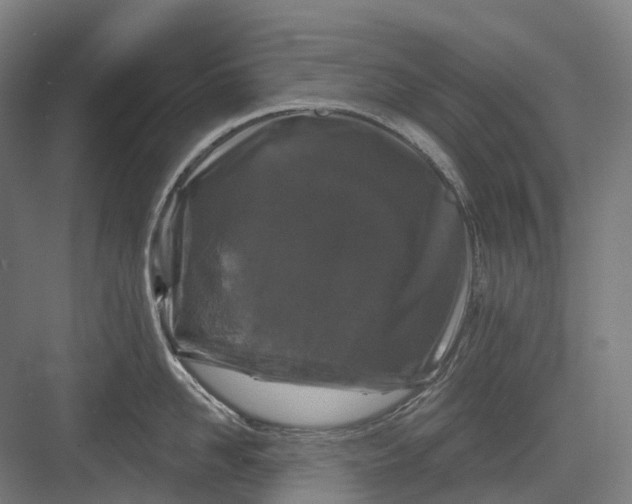 X0000082710958200702161812