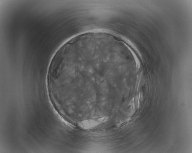 X0000082710959200702161812