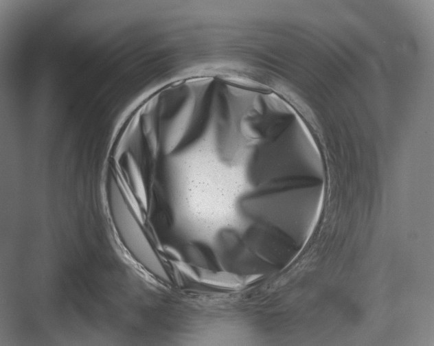 X0000082710960200702161812