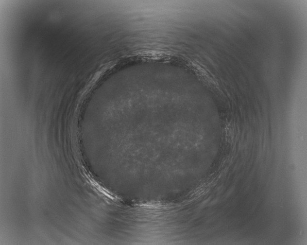 X0000082710961200702161811