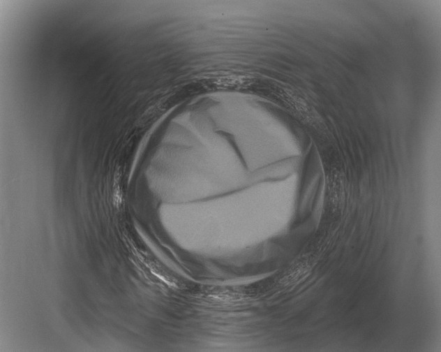 X0000082710962200702161811