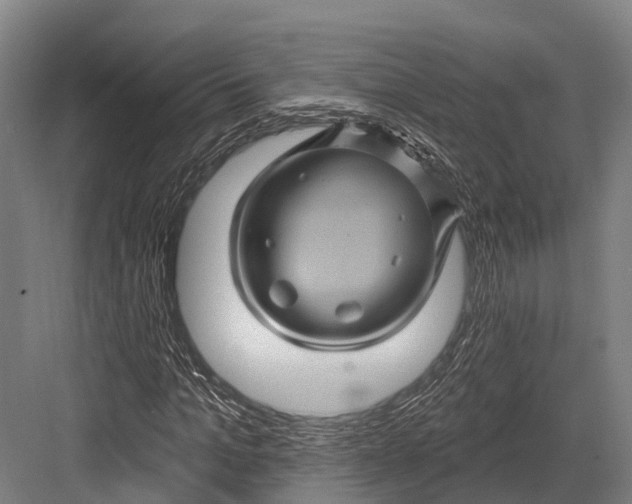 X0000082710965200702161811