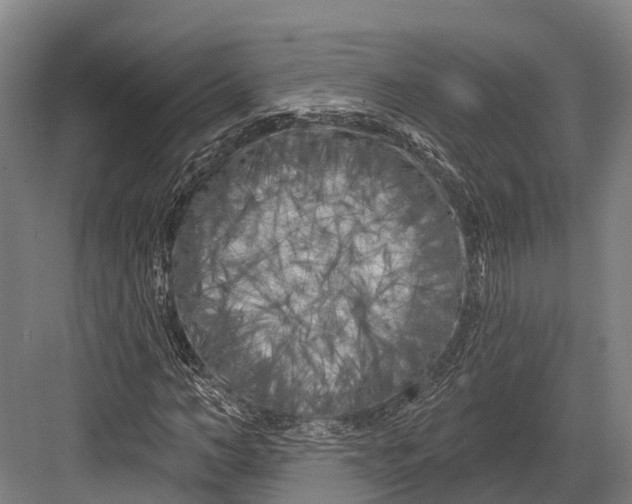 X0000082710966200702161811