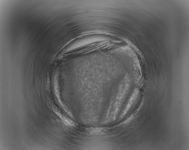 X0000082710969200702161811