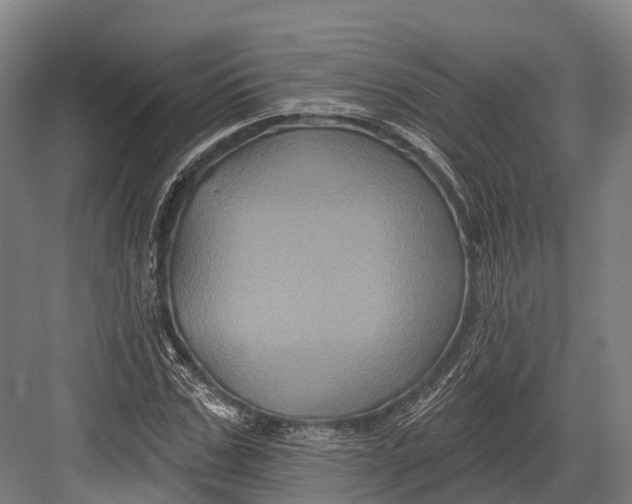 X0000082710971200702161811