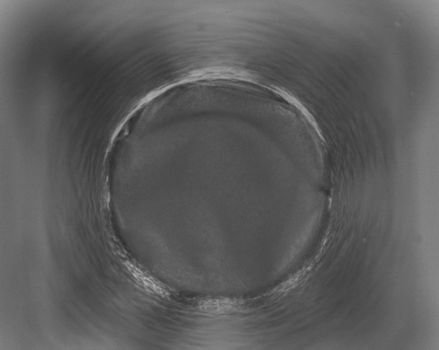 X0000082710973200702161811