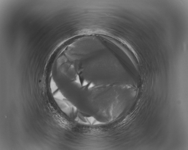 X0000082710975200702161811