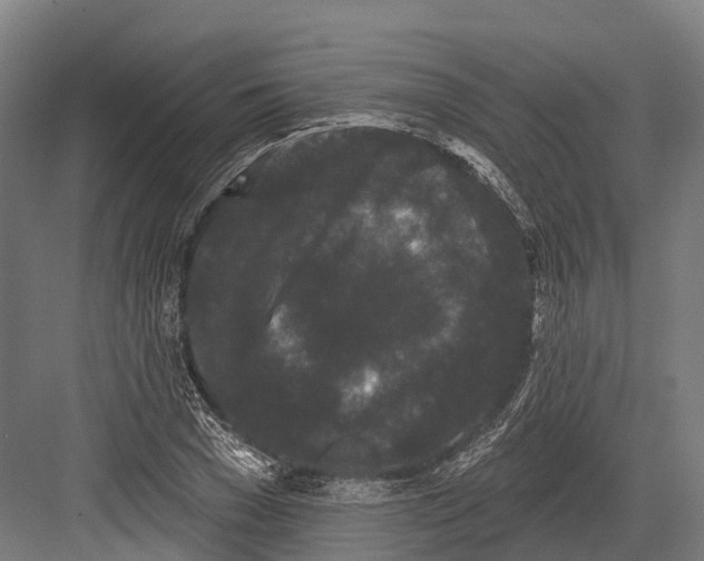 X0000082710977200702161811