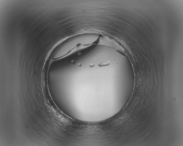 X0000082710979200702161811