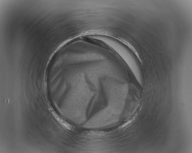 X0000082710981200702161811