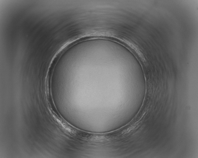 X0000082710982200702161811