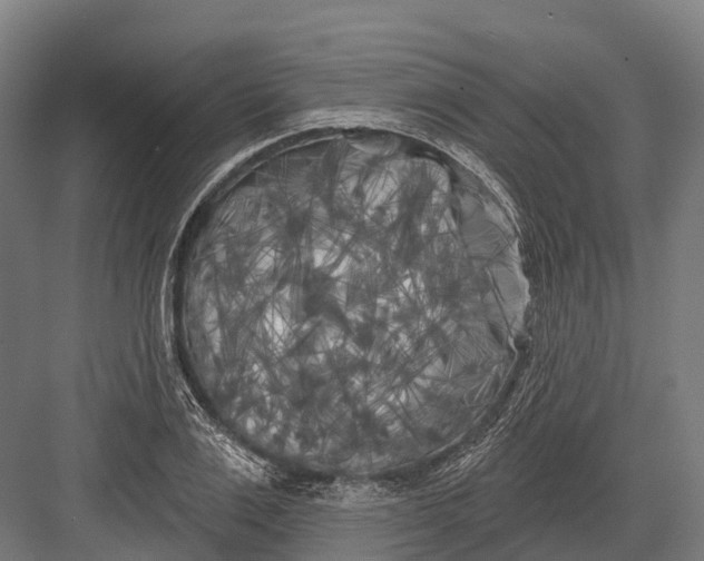 X0000082710983200702161811