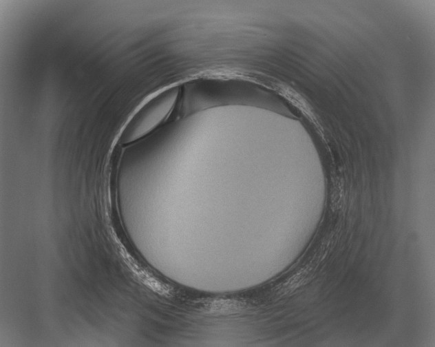 X0000082710984200702161811