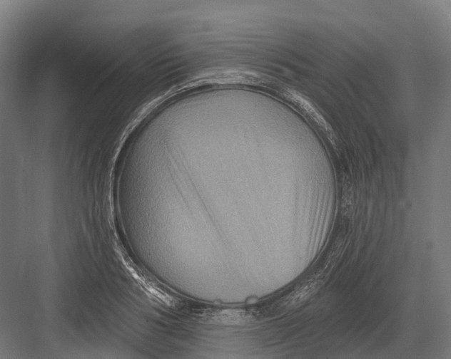 X0000082710986200702161811