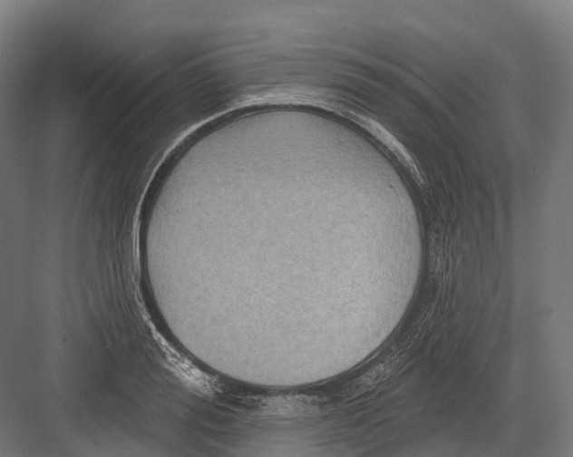 X0000082710988200702161811