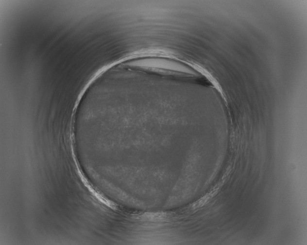 X0000082710989200702161811