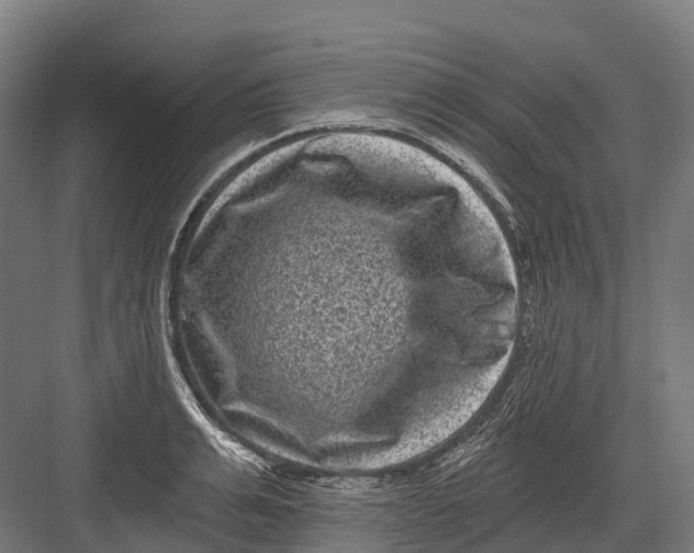 X0000082710991200702161811