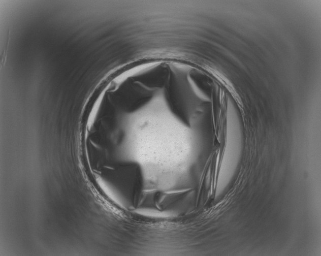 X0000082710992200702161811