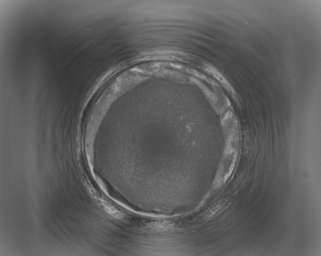 X0000082710994200702161811