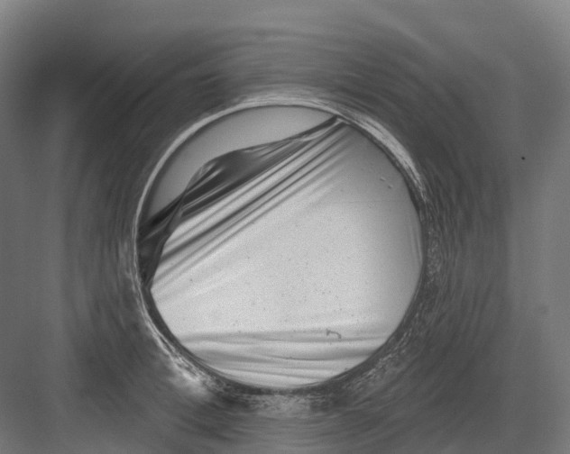 X0000082710996200702161811