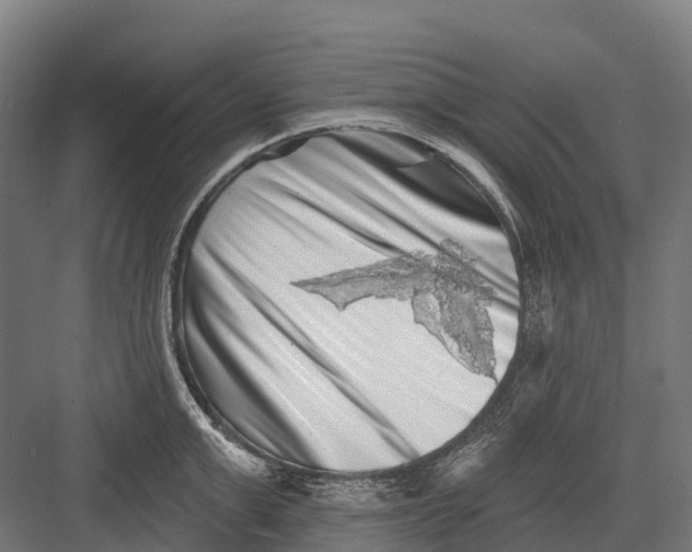 X0000082710999200702161811