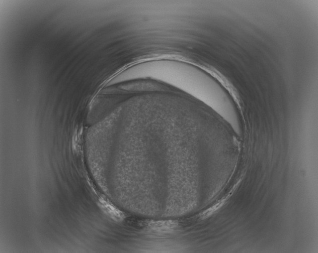 X0000082711001200702161811