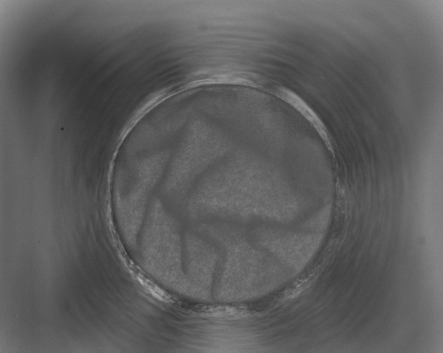 X0000082711002200702161811