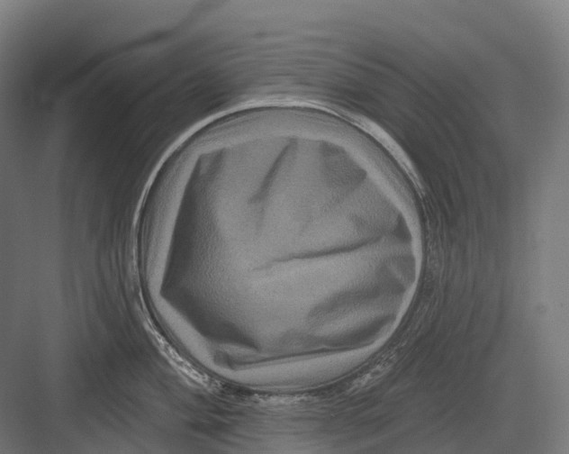 X0000082711004200702161811