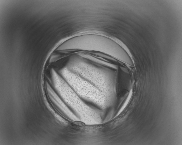 X0000082711005200702161811