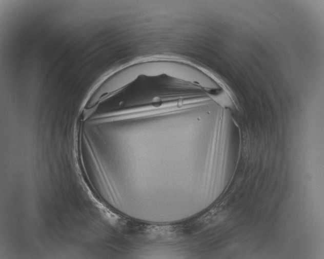 X0000082711006200702161811