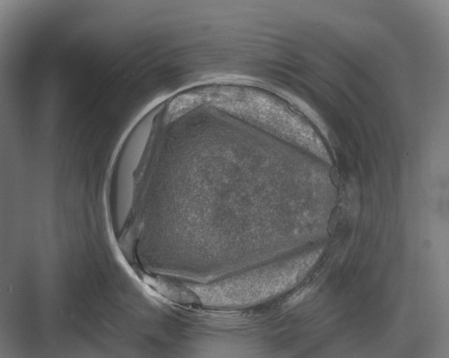 X0000082711007200702161811