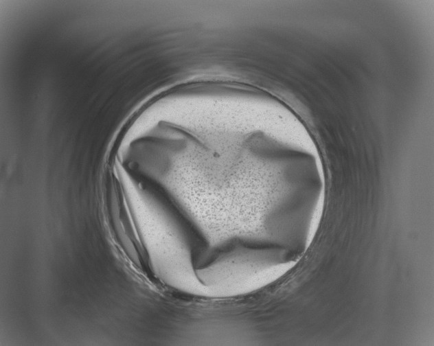 X0000082711008200702161811