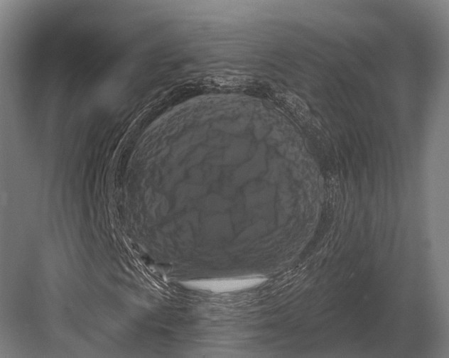 X0000082711009200702161810